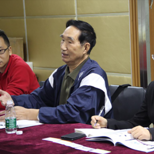 �Cе�O(sh��)���ИI(y��)2016���Ͷ�Y���Ԉ��:���㡰ʮ���塱Ҏ(gu��)��,���c�����Ї�����2025