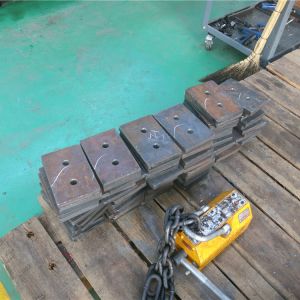 2018111102 ���������^