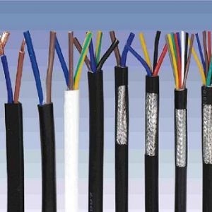 ������|����|���N��е�һ�N��ʲô�ǿ�����|��